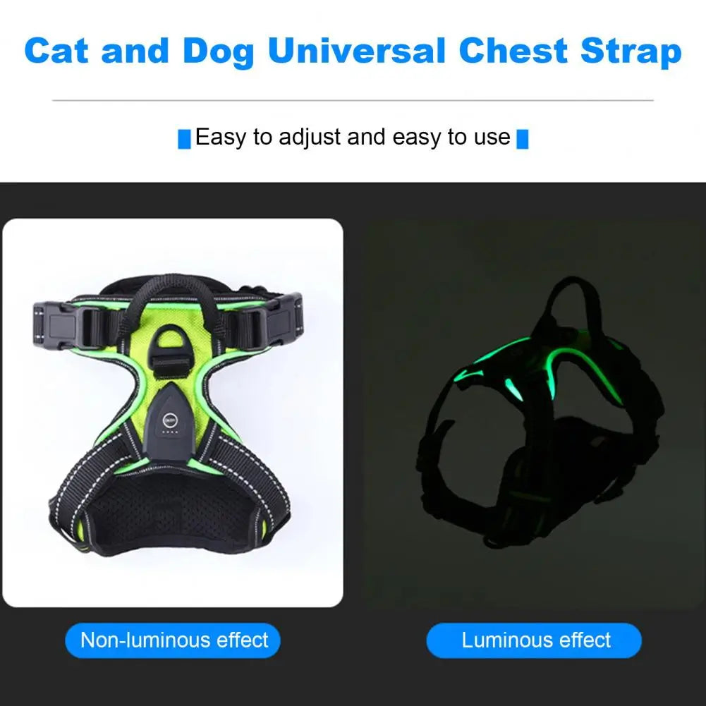 Night Walker - Rechargeable Led Dog Harness