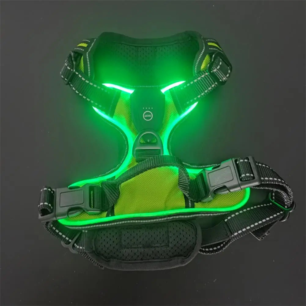 Night Walker - Rechargeable Led Dog Harness