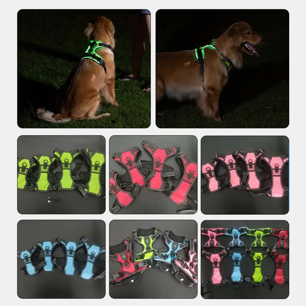 Night Walker - Rechargeable Led Dog Harness