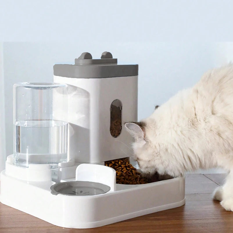 Pet Food & Water Feeder Set