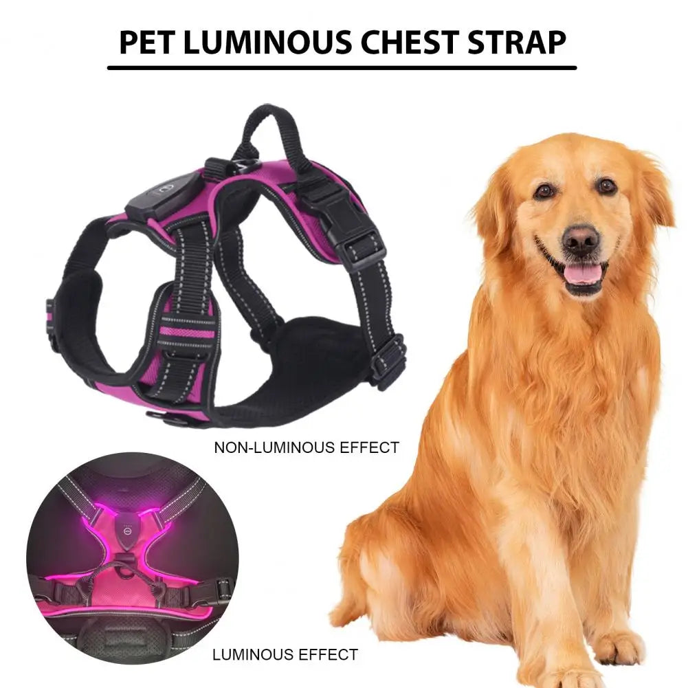Night Walker - Rechargeable Led Dog Harness