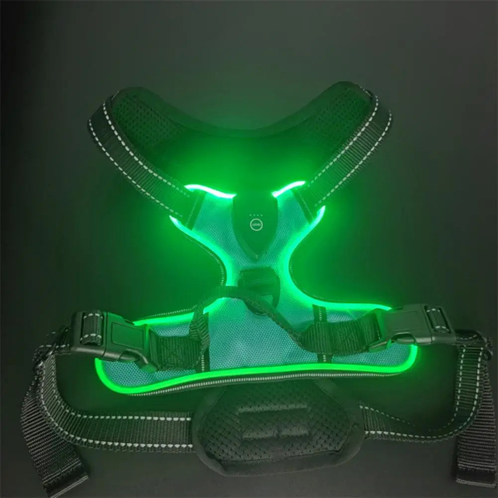 Night Walker - Rechargeable Led Dog Harness